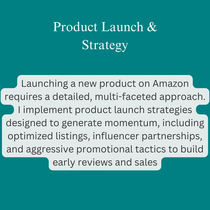 Product Launch Strategy
