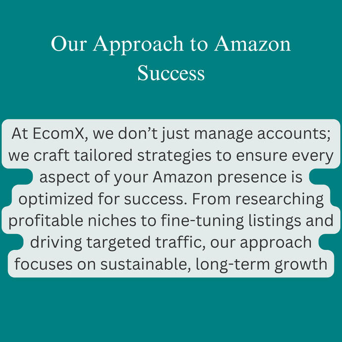 Our Approach to Amazon Success